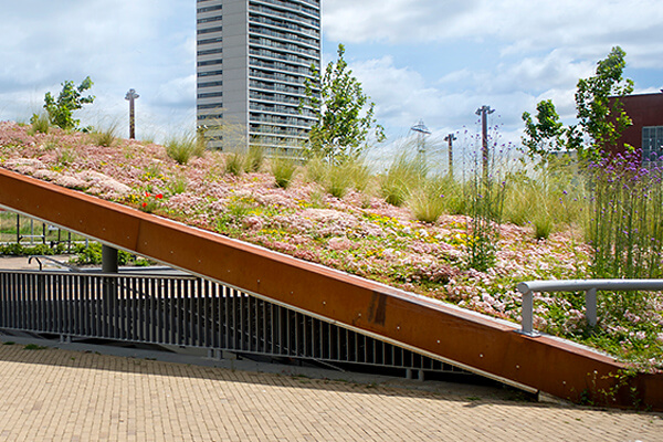 Premium Green Roof System