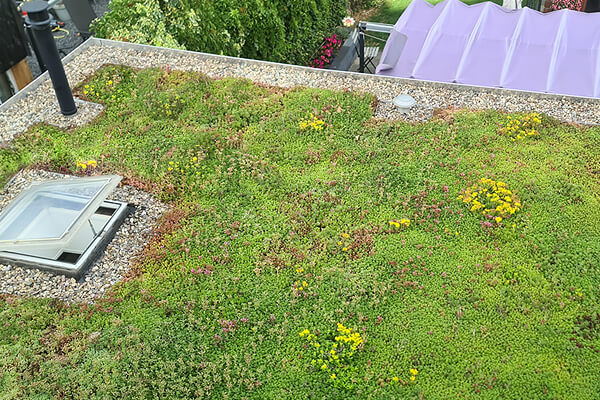 Standard Green Roof System