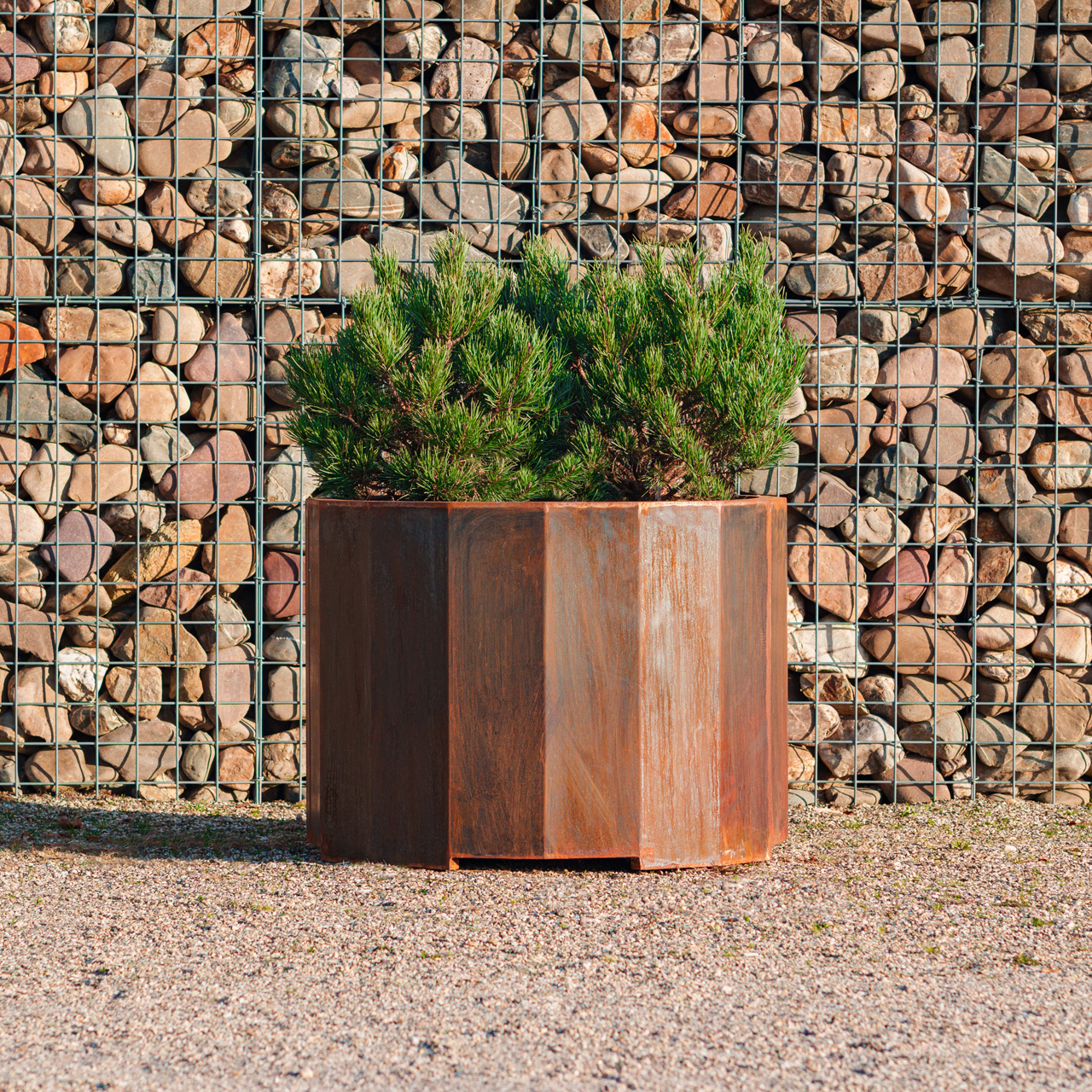  BOXER – Corten
