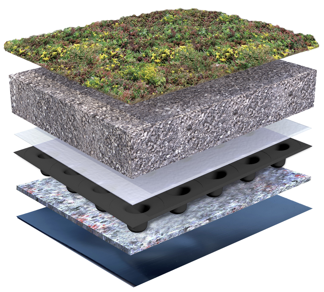 Systemaufbau Sedumdach Traditionell