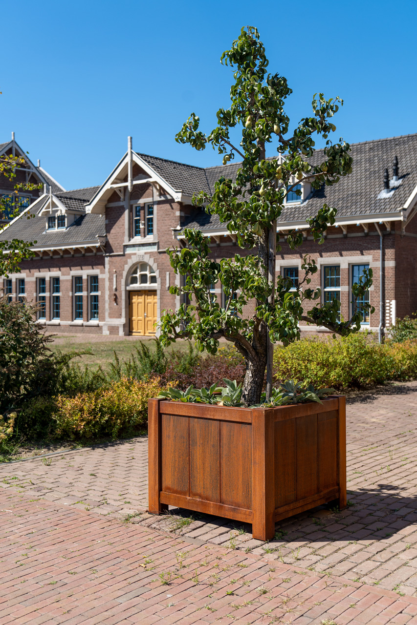 YORK – Corten Stahl